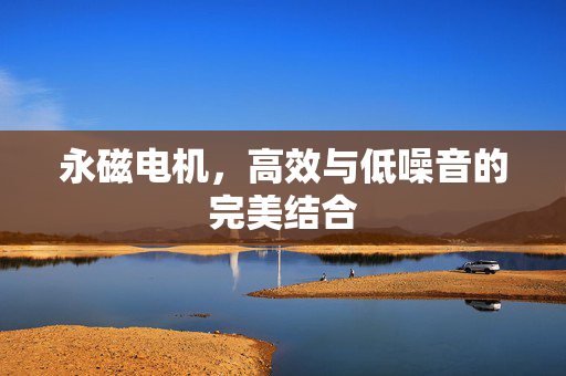 永磁电机，高效与低噪音的完美结合