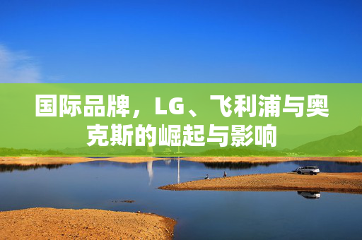 国际品牌，LG、飞利浦与奥克斯的崛起与影响