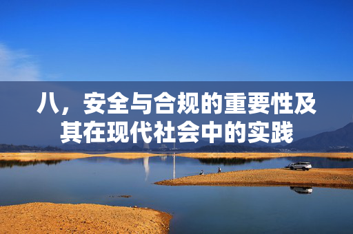 八，安全与合规的重要性及其在现代社会中的实践