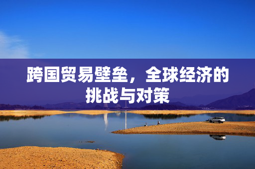 跨国贸易壁垒，全球经济的挑战与对策