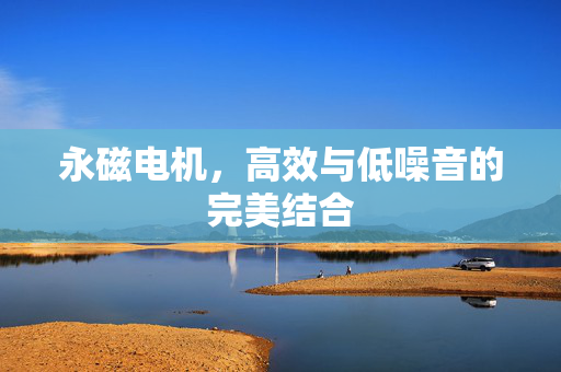 永磁电机，高效与低噪音的完美结合