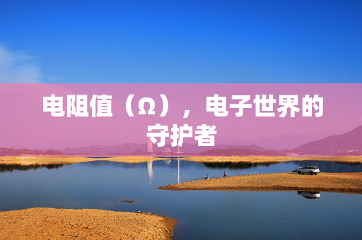 电阻值（Ω），电子世界的守护者