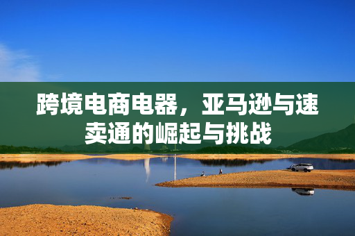 跨境电商电器，亚马逊与速卖通的崛起与挑战