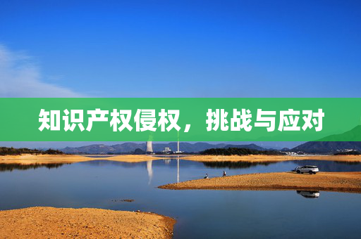 知识产权侵权，挑战与应对