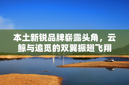 本土新锐品牌崭露头角，云鲸与追觅的双翼振翅飞翔