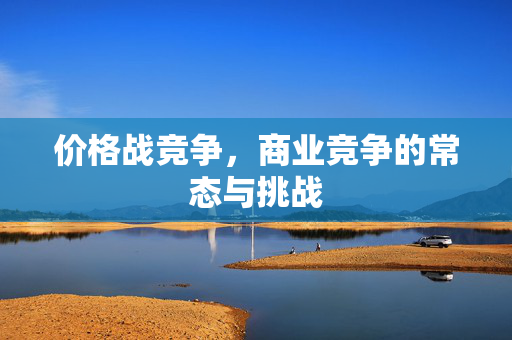 价格战竞争，商业竞争的常态与挑战