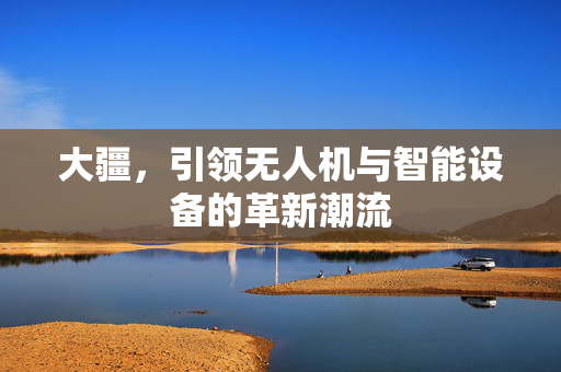 大疆，引领无人机与智能设备的革新潮流