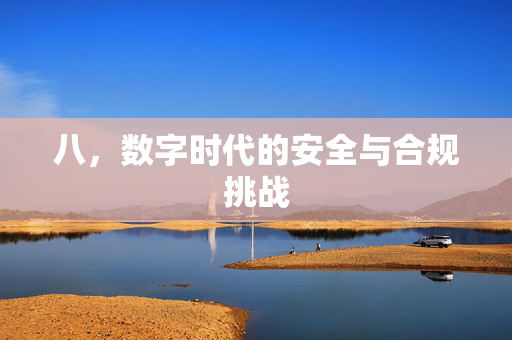 八，数字时代的安全与合规挑战