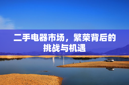 二手电器市场，繁荣背后的挑战与机遇