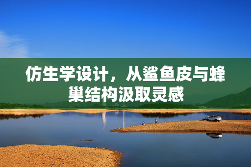 仿生学设计，从鲨鱼皮与蜂巢结构汲取灵感
