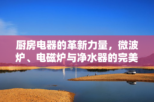 厨房电器的革新力量，微波炉、电磁炉与净水器的完美结合