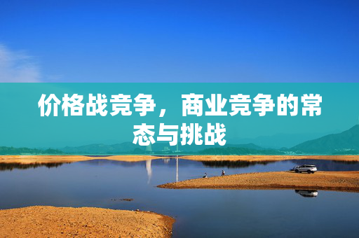 价格战竞争，商业竞争的常态与挑战