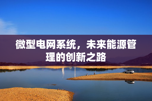 微型电网系统，未来能源管理的创新之路