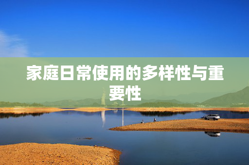 家庭日常使用的多样性与重要性