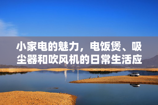 小家电的魅力，电饭煲、吸尘器和吹风机的日常生活应用