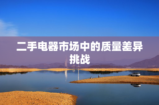 二手电器市场中的质量差异挑战