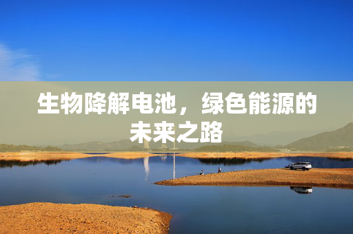 生物降解电池，绿色能源的未来之路