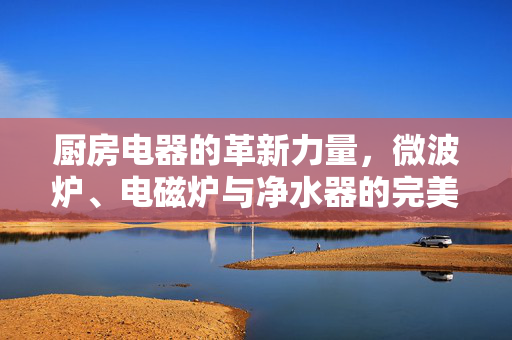 厨房电器的革新力量，微波炉、电磁炉与净水器的完美结合