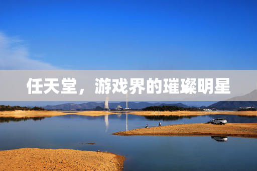 任天堂，游戏界的璀璨明星