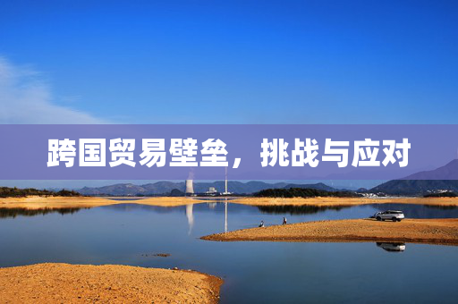 跨国贸易壁垒，挑战与应对