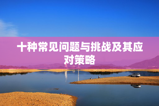十种常见问题与挑战及其应对策略