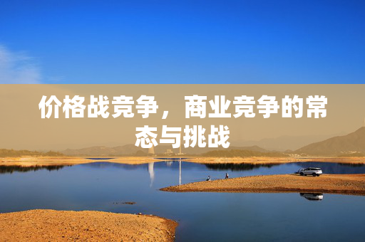 价格战竞争，商业竞争的常态与挑战
