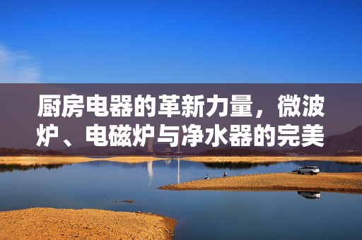 厨房电器的革新力量，微波炉、电磁炉与净水器的完美结合