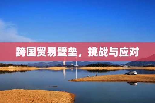 跨国贸易壁垒，挑战与应对