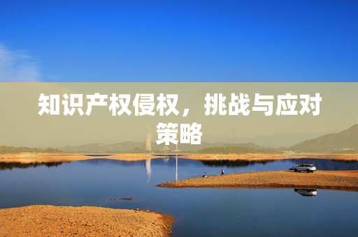 知识产权侵权，挑战与应对策略