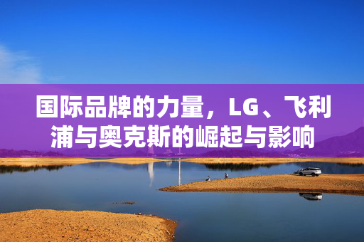 国际品牌的力量，LG、飞利浦与奥克斯的崛起与影响