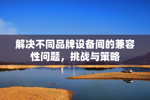 解决不同品牌设备间的兼容性问题，挑战与策略