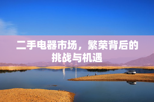 二手电器市场，繁荣背后的挑战与机遇