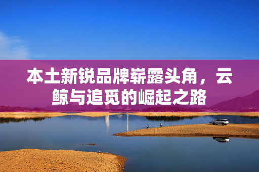 本土新锐品牌崭露头角，云鲸与追觅的崛起之路