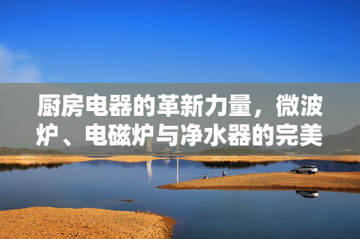 厨房电器的革新力量，微波炉、电磁炉与净水器的完美结合