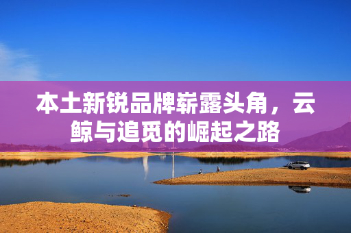 本土新锐品牌崭露头角，云鲸与追觅的崛起之路