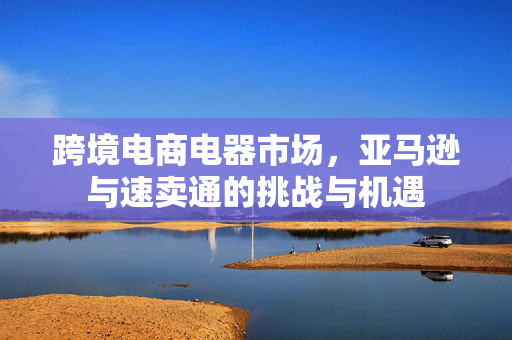 跨境电商电器市场，亚马逊与速卖通的挑战与机遇
