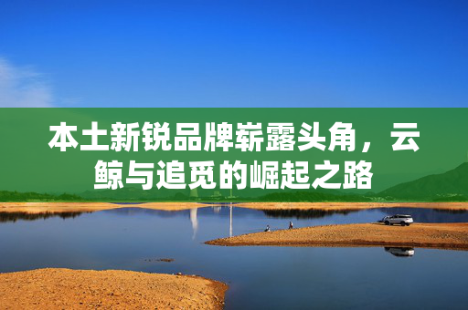 本土新锐品牌崭露头角，云鲸与追觅的崛起之路