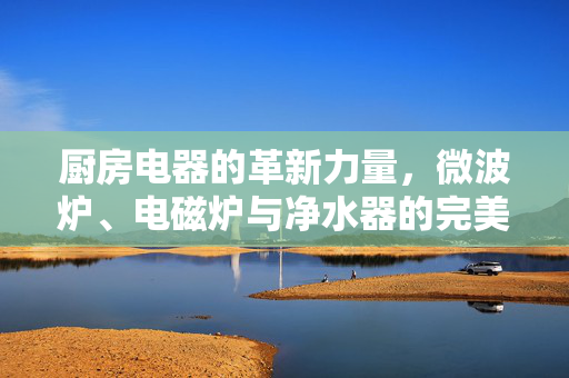 厨房电器的革新力量，微波炉、电磁炉与净水器的完美结合