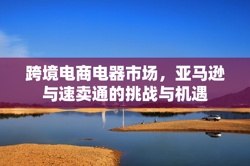 跨境电商电器市场，亚马逊与速卖通的挑战与机遇