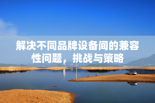 解决不同品牌设备间的兼容性问题，挑战与策略
