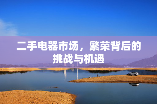 二手电器市场，繁荣背后的挑战与机遇