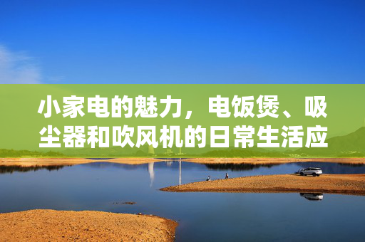 小家电的魅力，电饭煲、吸尘器和吹风机的日常生活应用