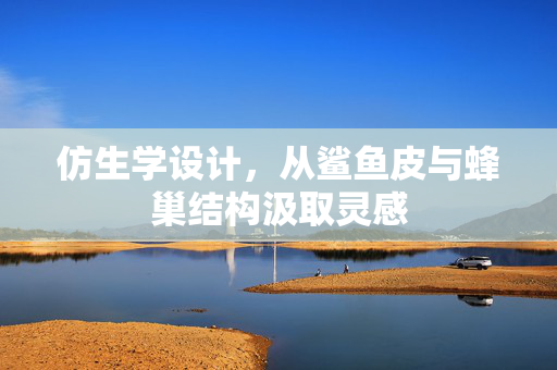 仿生学设计，从鲨鱼皮与蜂巢结构汲取灵感