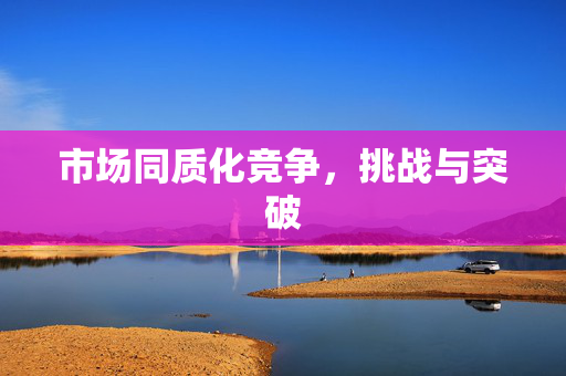 市场同质化竞争，挑战与突破