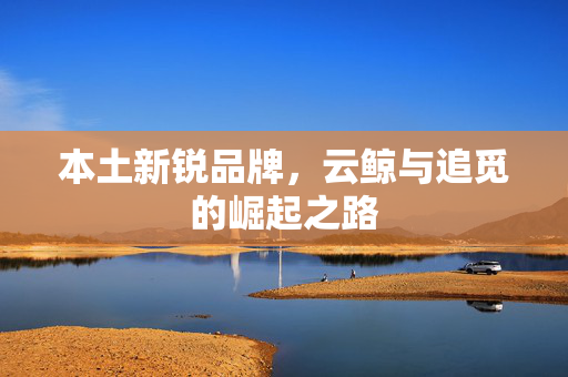 本土新锐品牌，云鲸与追觅的崛起之路