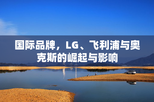 国际品牌，LG、飞利浦与奥克斯的崛起与影响