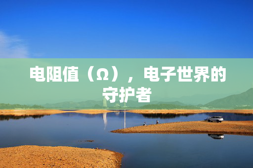 电阻值（Ω），电子世界的守护者