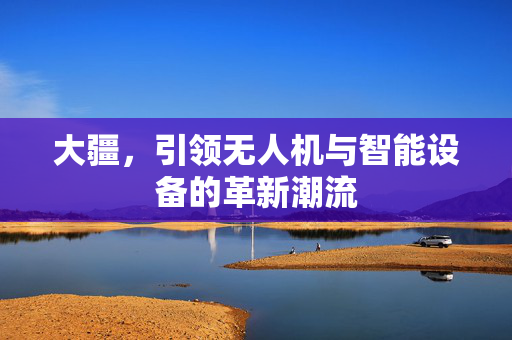 大疆，引领无人机与智能设备的革新潮流