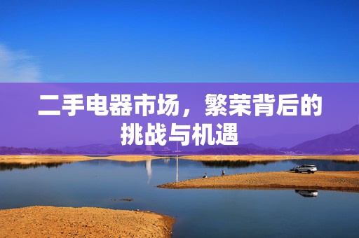 二手电器市场，繁荣背后的挑战与机遇