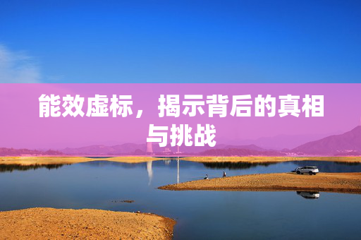 能效虚标，揭示背后的真相与挑战
